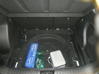 Hyundai Kona PREMIUM SKY picture 29