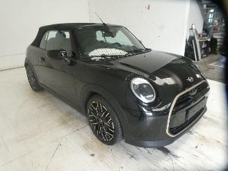 Mini Cooper  picture 11