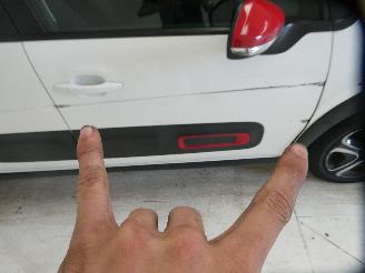 Citroën C3 III SHINE picture 11