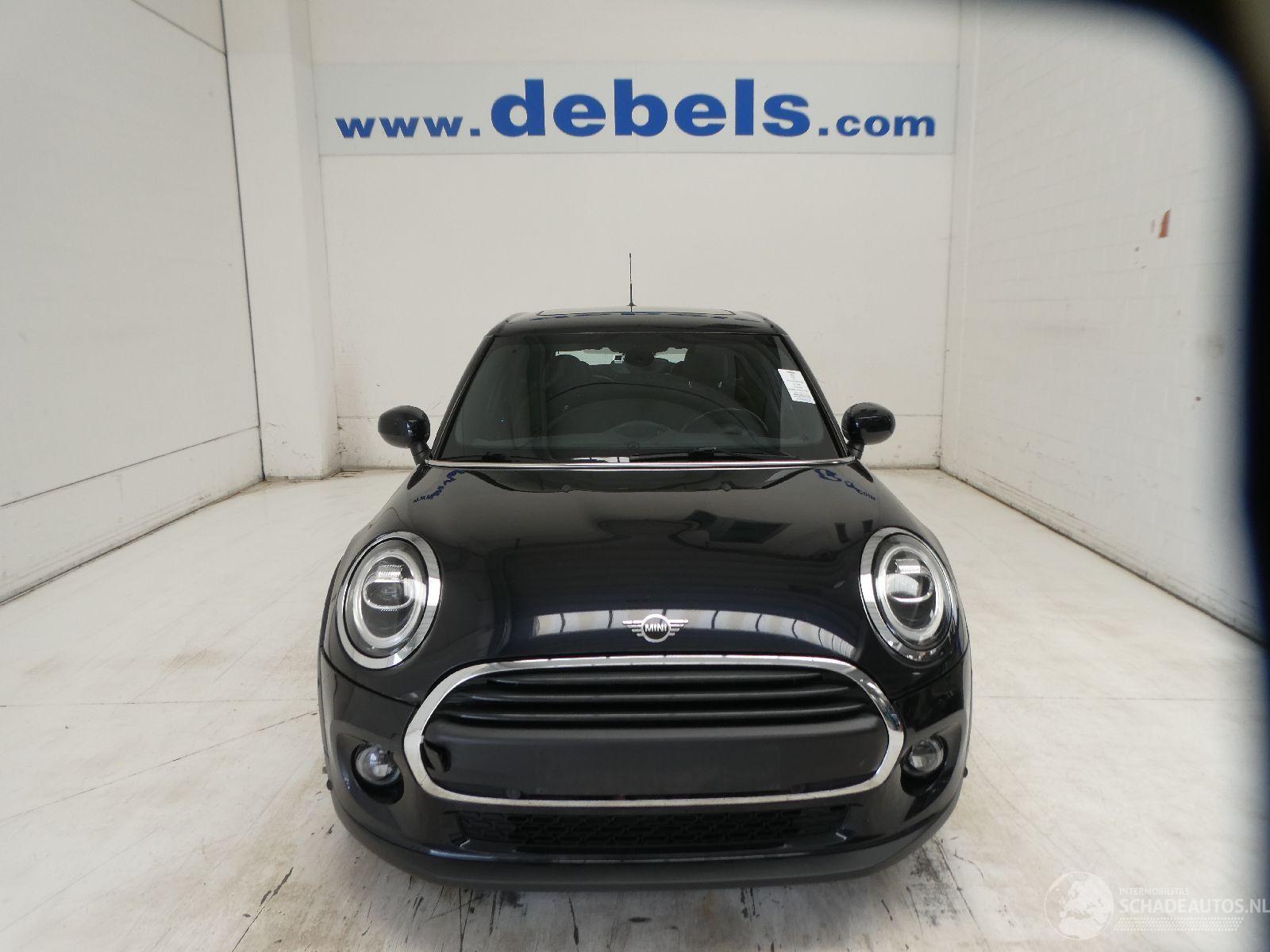 Mini One 