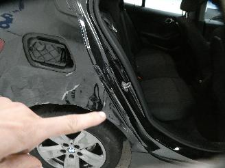 BMW 1-serie  picture 9