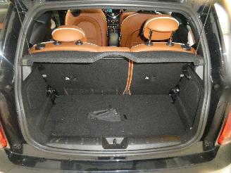Mini Cooper  picture 19