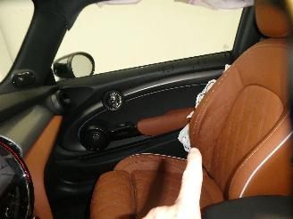 Mini Cooper  picture 16