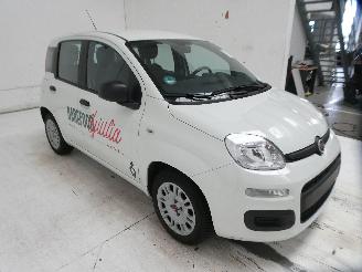 Fiat Panda EASY picture 11