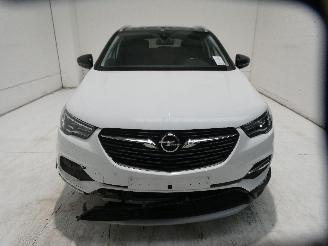 Opel Grandland X INNOVATI picture 2