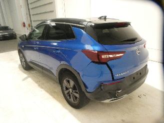 Opel Grandland Z picture 4
