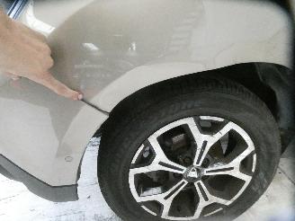 Dacia Duster II RAINBOW picture 4