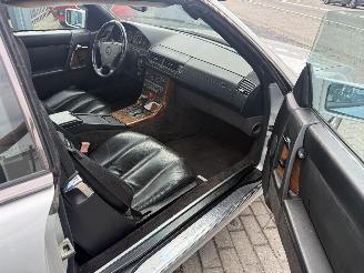 Mercedes SL V8 picture 23