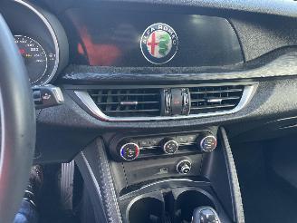 Alfa Romeo Stelvio Q4 ENGINE OUT picture 23