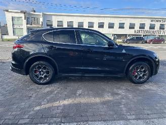 Alfa Romeo Stelvio Q4 ENGINE OUT picture 16