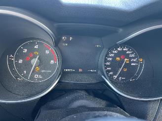 Alfa Romeo Stelvio Q4 ENGINE OUT picture 22