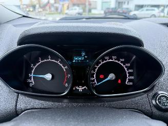 Ford EcoSport 1.0 picture 27