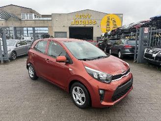 krockskadad bil auto Kia Picanto 1.0I 2019/5