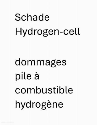 Hyundai Nexo FCEV PRIME HYDRO picture 2