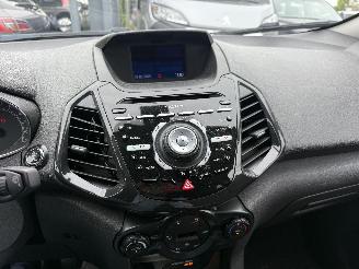 Ford EcoSport 1.0 TITANIUM picture 19