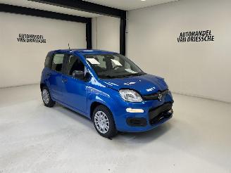 Fiat Panda  picture 1
