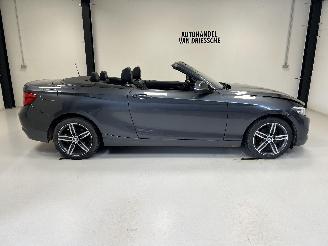 krockskadad bil auto BMW 2-serie SPORTLINE AUTOMAAT 2019/3