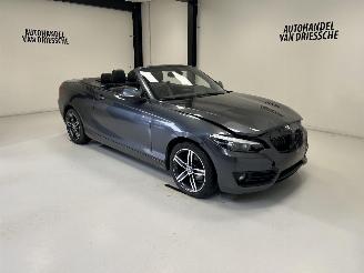 skadebil auto BMW 2-serie SPORTLINE AUTOMAAT 2019/3