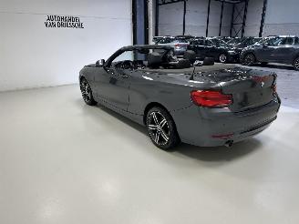 BMW 2-serie SPORTLINE AUTOMAAT picture 5