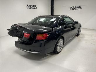 BMW 4-serie LUXURY LINE picture 3