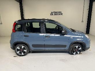 Avarii autoturisme Fiat Panda CITY LIFE 2021/9