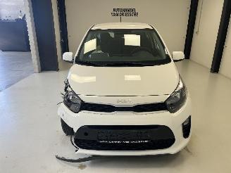 Kia Picanto  picture 8