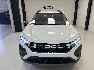 Dacia Sandero EXTREME picture 9