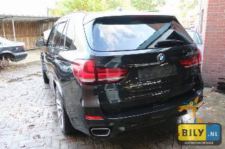 BMW X5 F15 3.0D X-drive picture 3