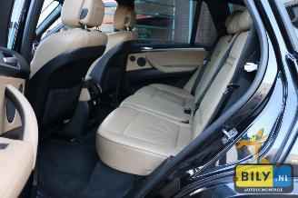 BMW X5 E70 X5 M picture 13