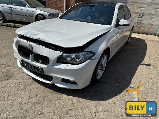 Démontage voiture BMW  F10 518D Alpinewiess 3 2014/1
