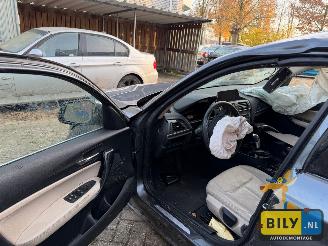 BMW 1-serie F20 118I N13 mineral-grau metallic picture 7