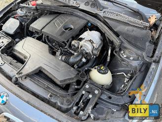 BMW 1-serie F20 118I N13 mineral-grau metallic picture 10