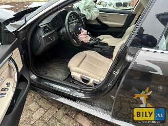 BMW 4-serie F36 418D B47 Jatoba metallic (B65) picture 10