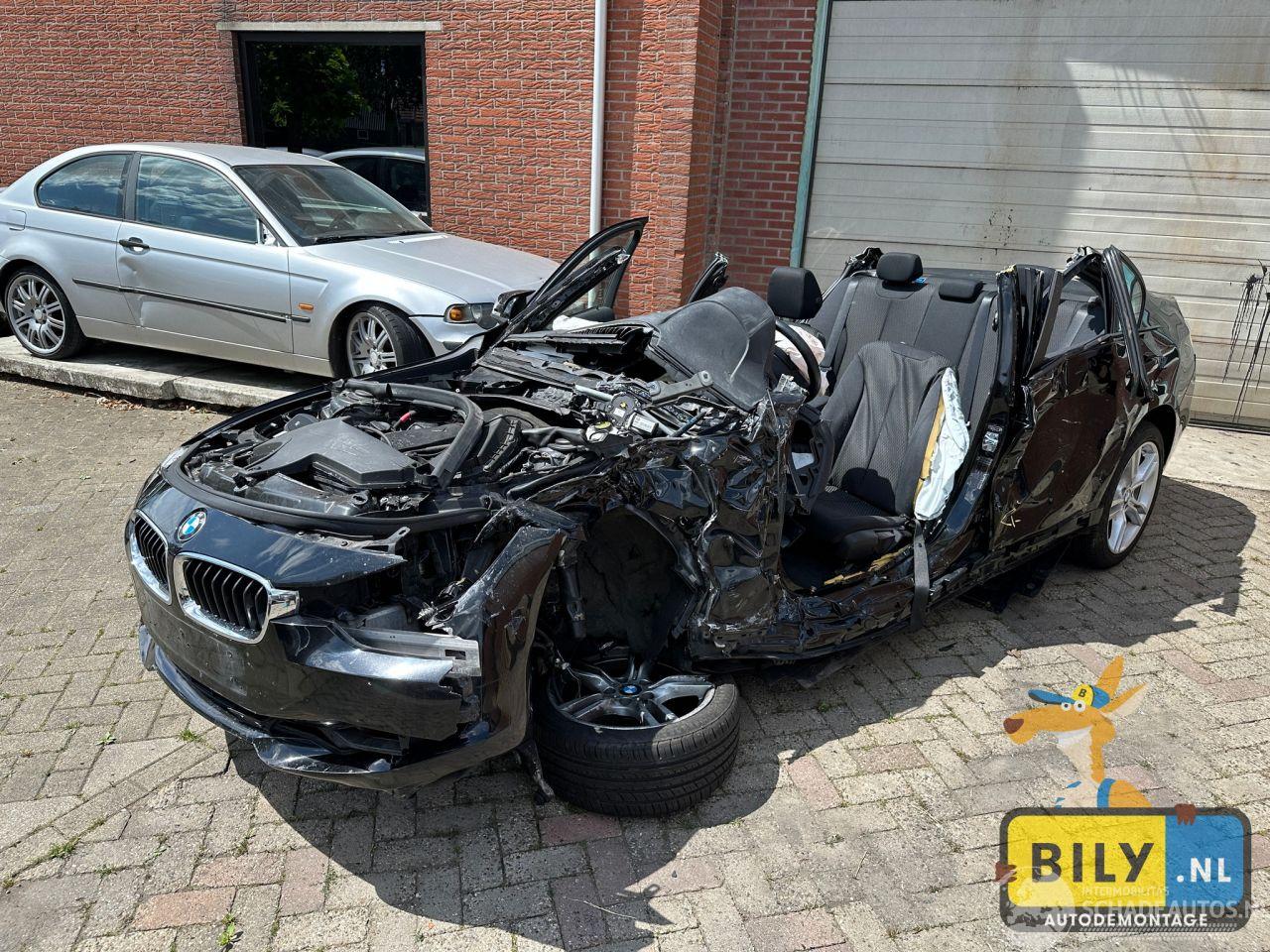 BMW 3-serie F30 320D N47N schwarz 2 (688)