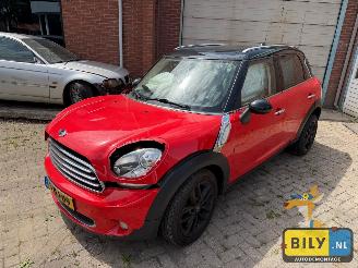 Sloopauto Mini Countryman  2011/1