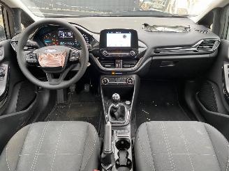 Ford Fiesta BUSINESS picture 24