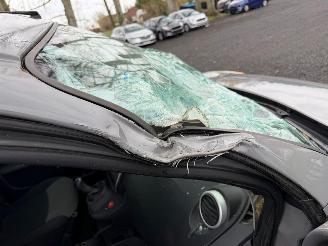 Renault Kangoo EXPRESS MAXI picture 3