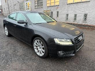 Audi A5 3.0 TDI picture 2