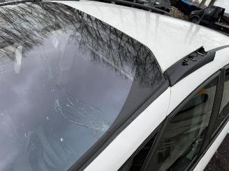 Citroën C4-picasso PICASSO picture 13