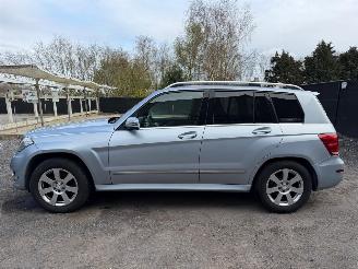 Mercedes Glk-klasse 220 CDI BLUEEFFI picture 13