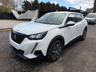 Peugeot 2008 II ACTIVE picture 8