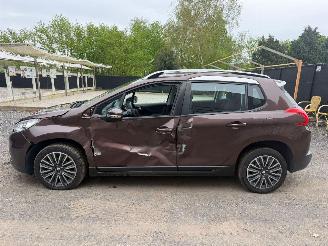 Peugeot 2008 ACTIVE picture 12