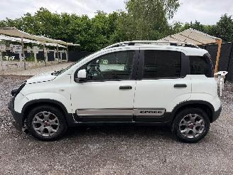 Fiat Panda CROSS picture 13