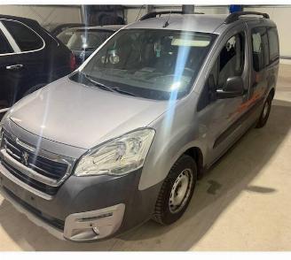 Peugeot Partner TEPEE picture 2