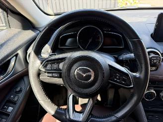 Mazda CX-3 SKYDRIVE picture 23