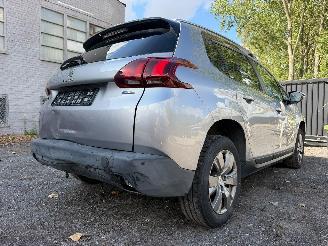 Peugeot 2008 ACCESS picture 17