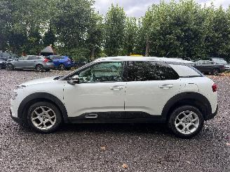 Citroën C4 cactus CACTUS FLAIR picture 11