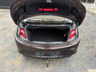 Opel Cascada COSMO picture 17