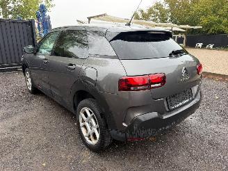 Citroën C4 cactus CACTUS FLAIR picture 13