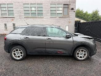 skadebil auto Citroën C4 cactus CACTUS FLAIR 2019/5